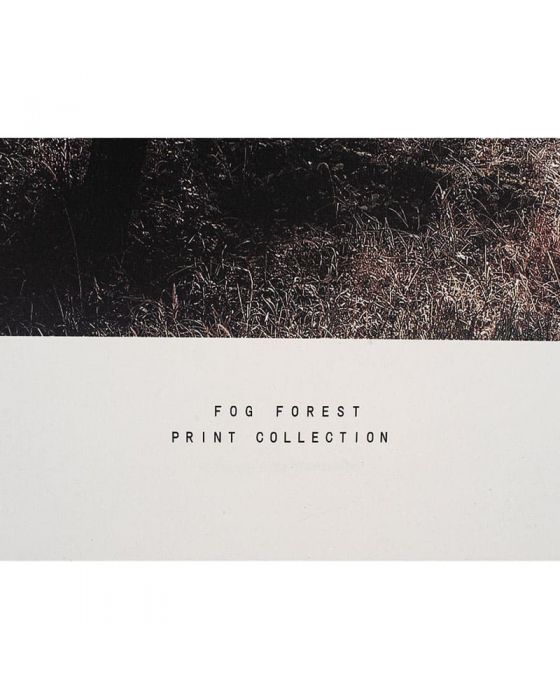 Mono Forest Trail Print with Gold Detail and Black Frame
