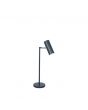 Arris Adjustable Black Task Table Lamp