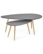 Birger Grey Set of 2 Oblong Coffee Tables