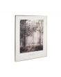 Mono Sunlit Copse Print with Gold Detail and Black Frame